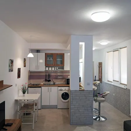דירה Comfortable Ground Floor פרימורסקו