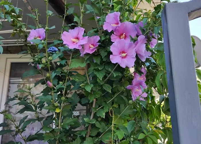 Comfortable Ground Floor